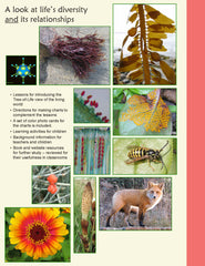 Kingdoms of Life Connected, third edition - ebook