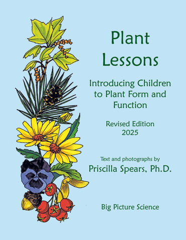 Plant Lessons - Introducing Children to Plant Form and Function
