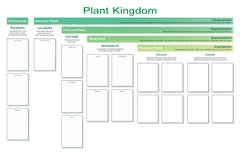 Plant Kingdom Chart and Cards